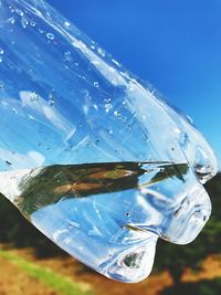 Close-up of fish swimming in water against sky