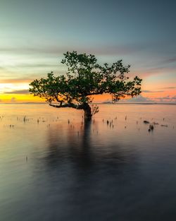 Scenic view of sea against sky during sunset