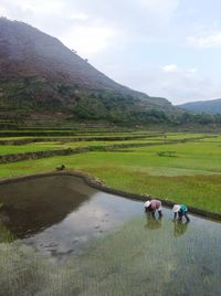 Scenic view of grassy field against cloudy sky