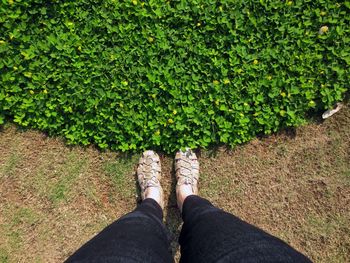 Low section of woman standing on plant