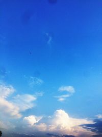 Low angle view of bird flying against blue sky