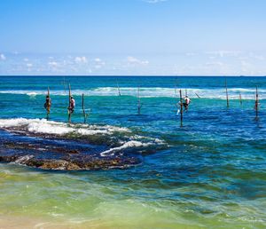 Fishermen on wooden posts fishing in sea