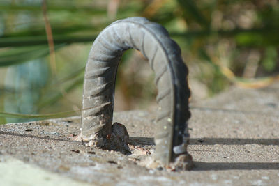 Close-up of water