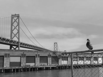 View of suspension bridge against sky