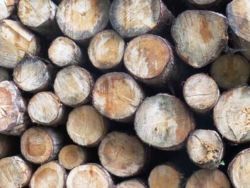 Full frame shot of logs