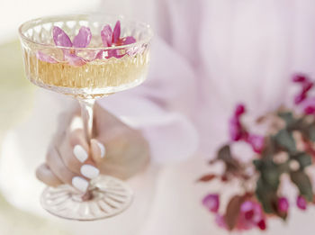Champagne glass with pink petals of apple blossoms and a flowering branch on the background. drink