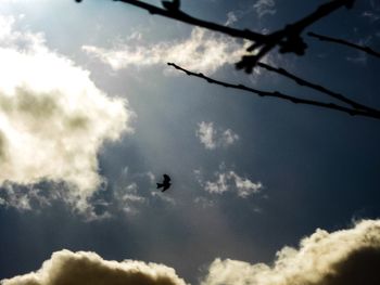 Low angle view of bird flying against cloudy sky