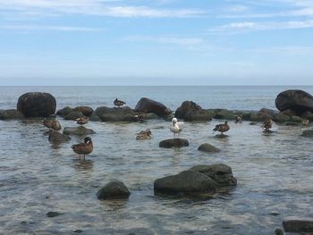 Rocks in sea against sky