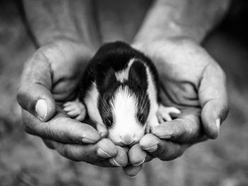 Close-up of hand holding baby outdoors