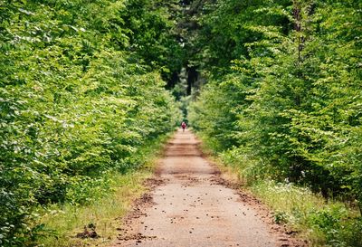 Rear view of person walking on plants