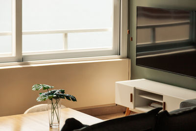 Potted plant on table by window at home