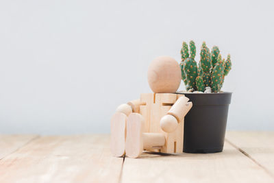 Potted plant on table against wall