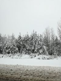 Scenic view of trees against clear sky