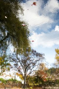 Trees against sky