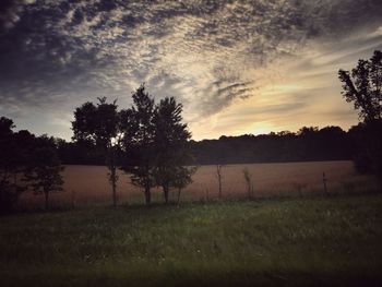 Trees on field against sky at sunset