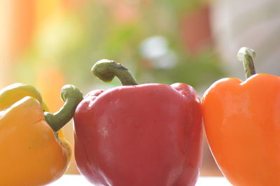 Close-up of tomatoes with red bell peppers