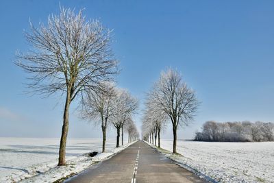 Road amidst bare trees against sky during winter