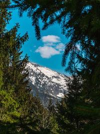 Low angle view of snowcapped mountain against sky