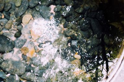 Rocks in pond