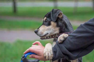 Midsection of man holding dog