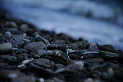 Close-up of stones on beach