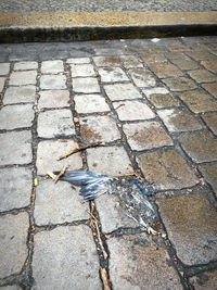 road surface