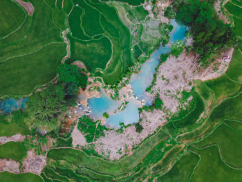 Aerial view of lake amidst agricultural field