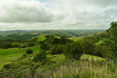 Scenic view of landscape against sky