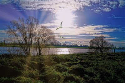 Scenic view of river against sky