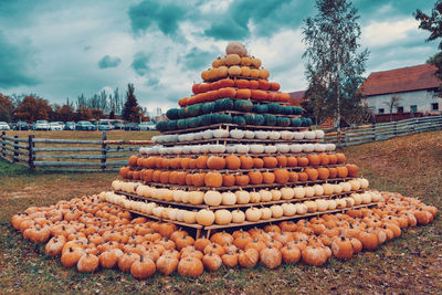 Stack of pumpkins on field against sky