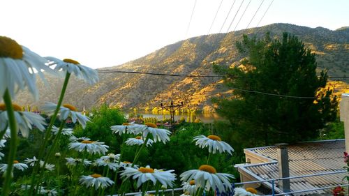 Scenic view of mountains