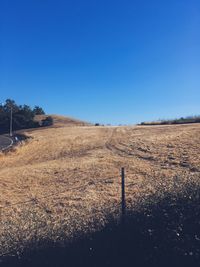 Scenic view of field against clear blue sky