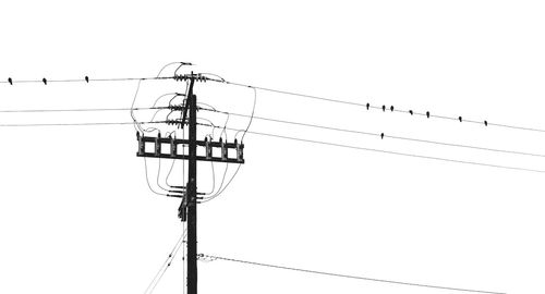 Low angle view of birds perching on power line against clear sky