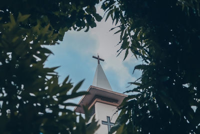 Low angle view of trees and building against sky