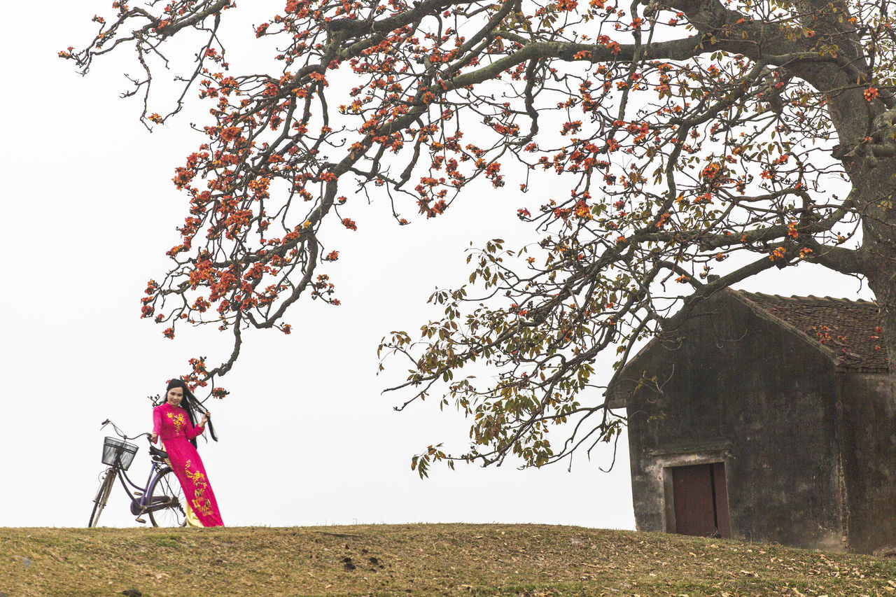 plant, tree, architecture, nature, flower, sky, built structure, building exterior, one person, building, rural scene, landscape, day, outdoors, adult, house, branch, land, beauty in nature, clear sky, men, grass, growth, agriculture, full length