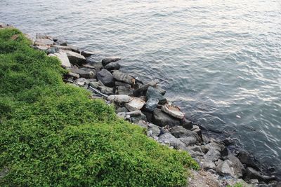 High angle view of rocks at sea shore