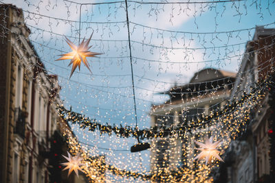 Close-up of christmas tree