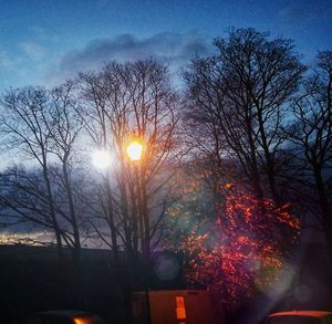 Bare trees against sky during sunset