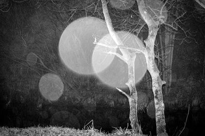 Close-up of double exposure at night