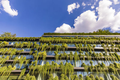 Germany, baden-wurttemberg, stuttgart, office building covered in green creeping plants