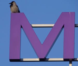 Low angle view of bird perching against clear blue sky