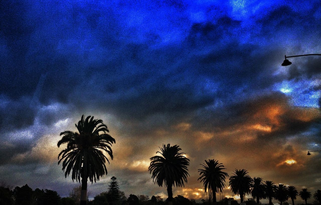sky, cloud - sky, silhouette, low angle view, palm tree, tree, cloudy, beauty in nature, tranquility, scenics, nature, tranquil scene, cloud, dusk, dramatic sky, sunset, weather, atmospheric mood, idyllic, storm cloud
