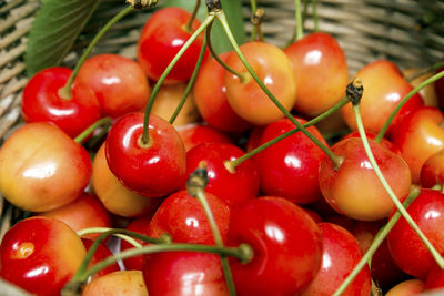 Close-up of tomatoes