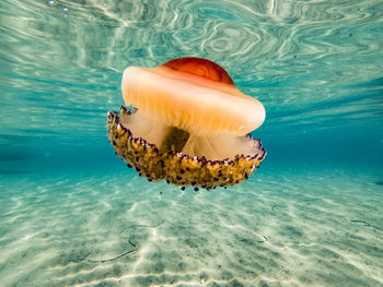 Close-up of sea against sky