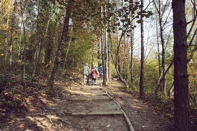 Rear view of people walking on footpath in forest