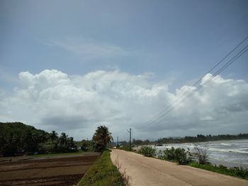 Empty road along trees and plants against sky