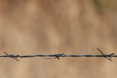 barbed wire