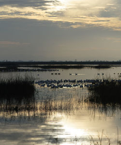 Scenic view of lake against sky during sunset