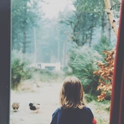 Rear view of woman looking through window