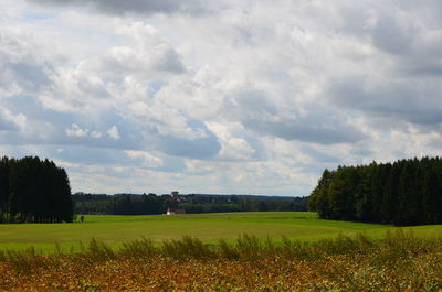 Scenic view of field against sky